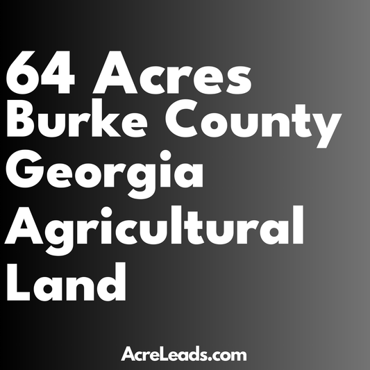 64 Acres of Agricultural Land in Burke County, GA