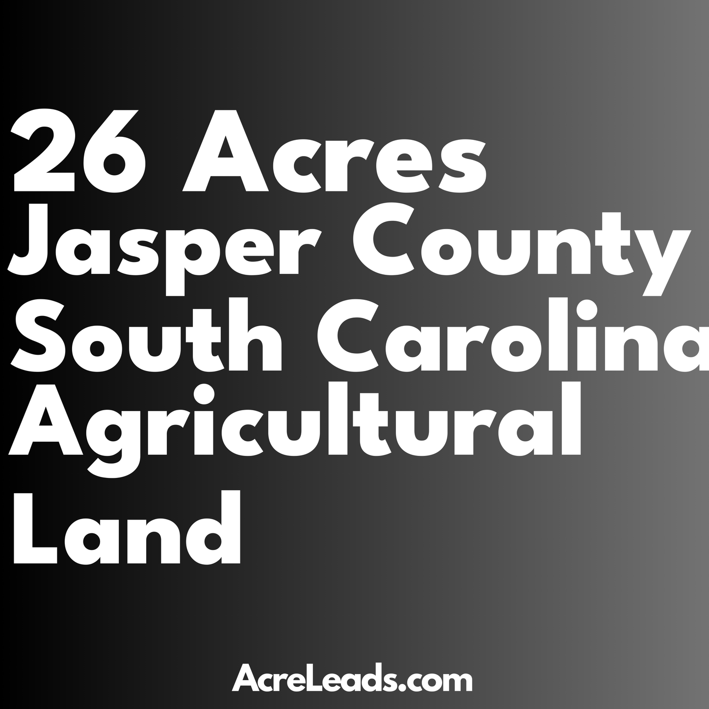 26 Acres of Agricultural Land in Jasper County, SC