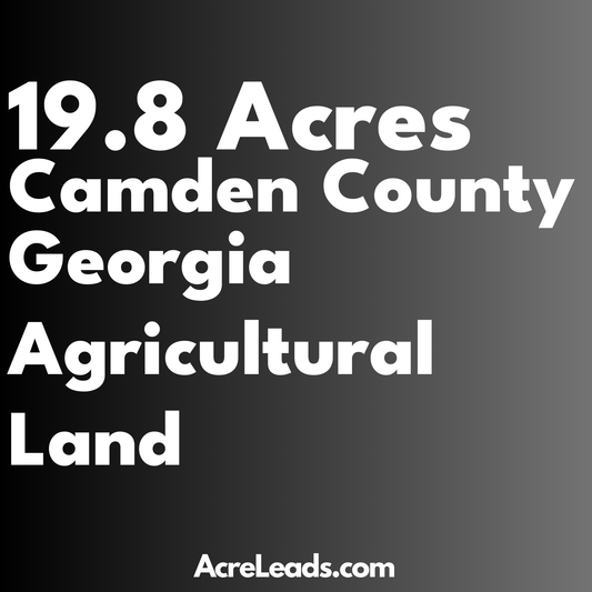 19.8 Acres of Agricultural Land in Camden County, GA