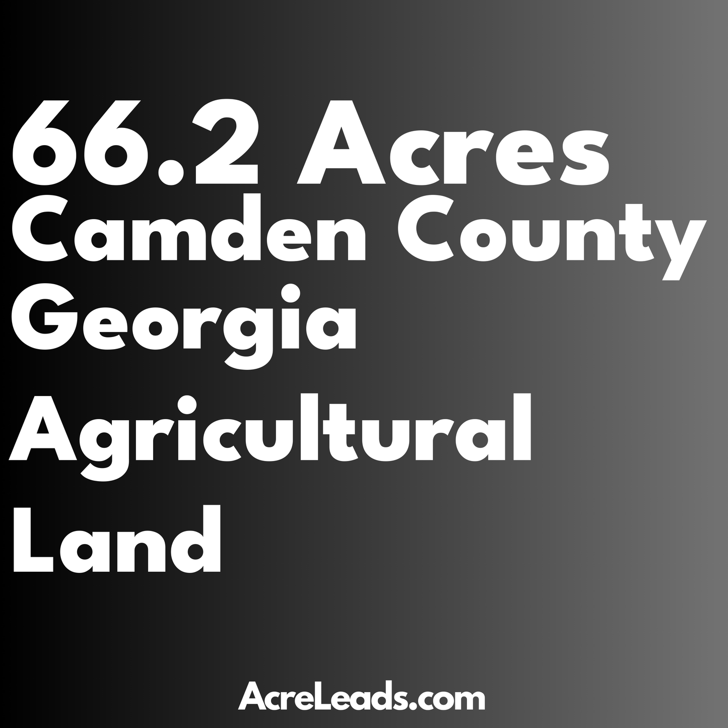 66.2 Acres of Agricultural Land in Camden County, GA