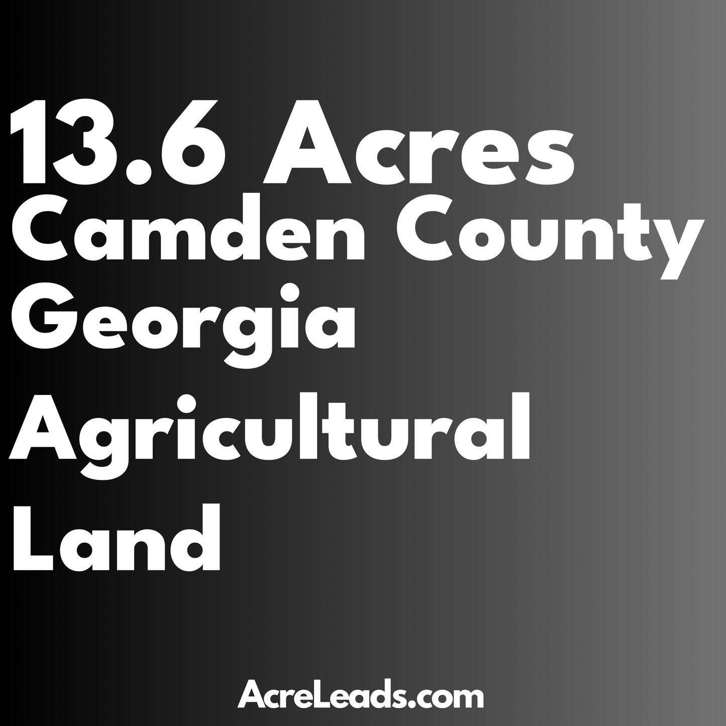 13.6 Acres of Agricultural Land in Camden County, GA