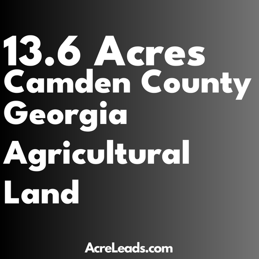 13.6 Acres of Agricultural Land in Camden County, GA