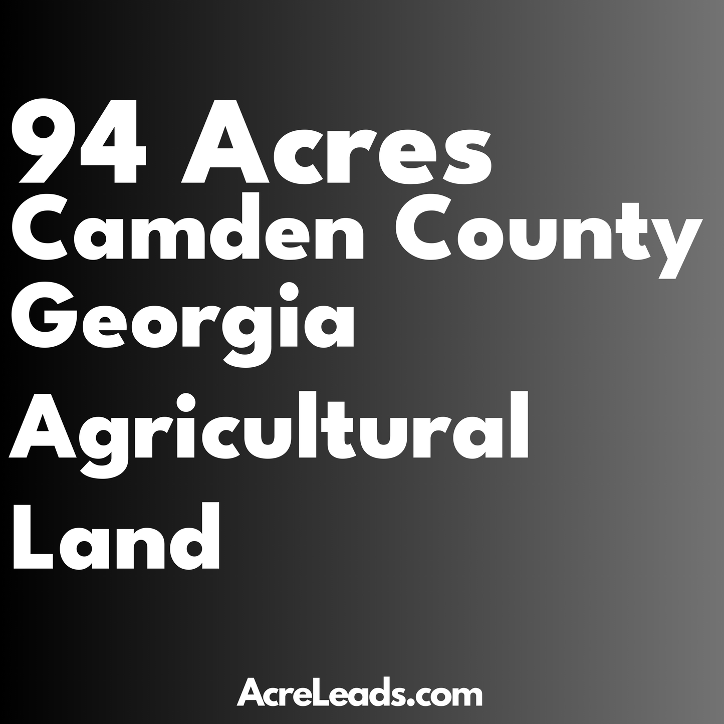 94 Acres of Agricultural Land in Camden County, GA