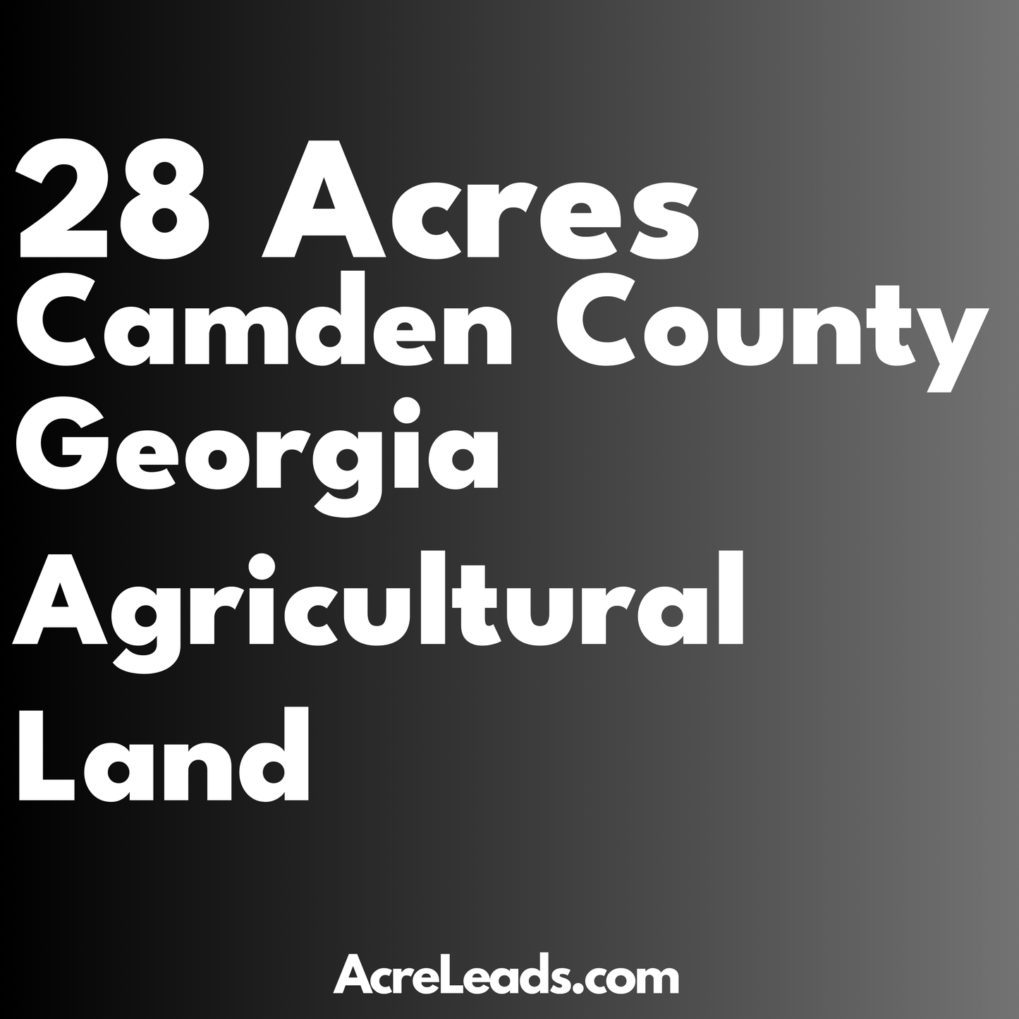 28 Acres of Agricultural Land in Camden County, GA