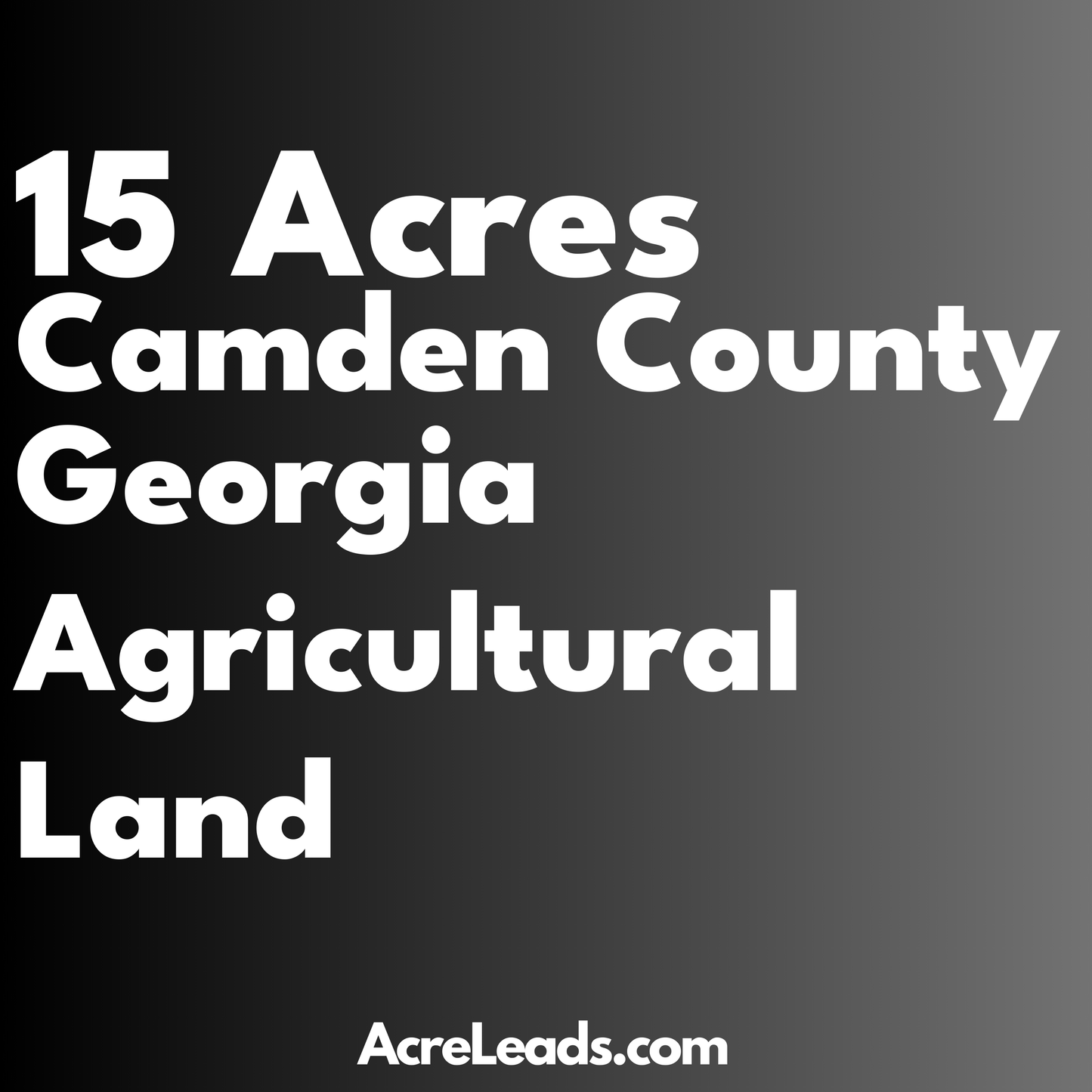 15 Acres of Agricultural Land in Camden County, GA