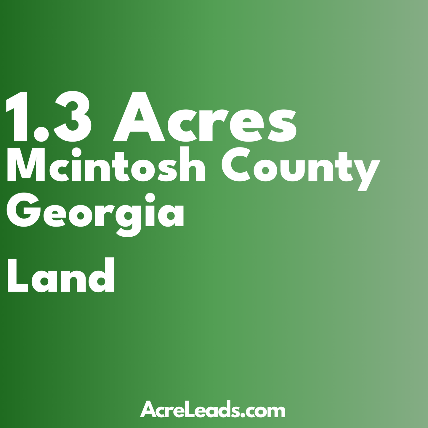 1.3 Acres of Land in mcintosh County, GA