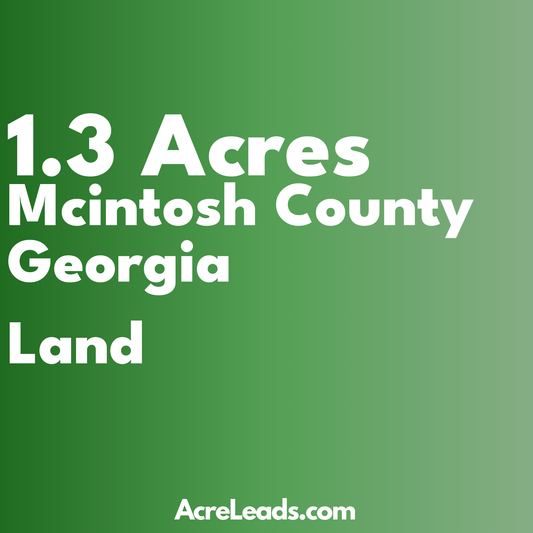 1.3 Acres of Land in mcintosh County, GA