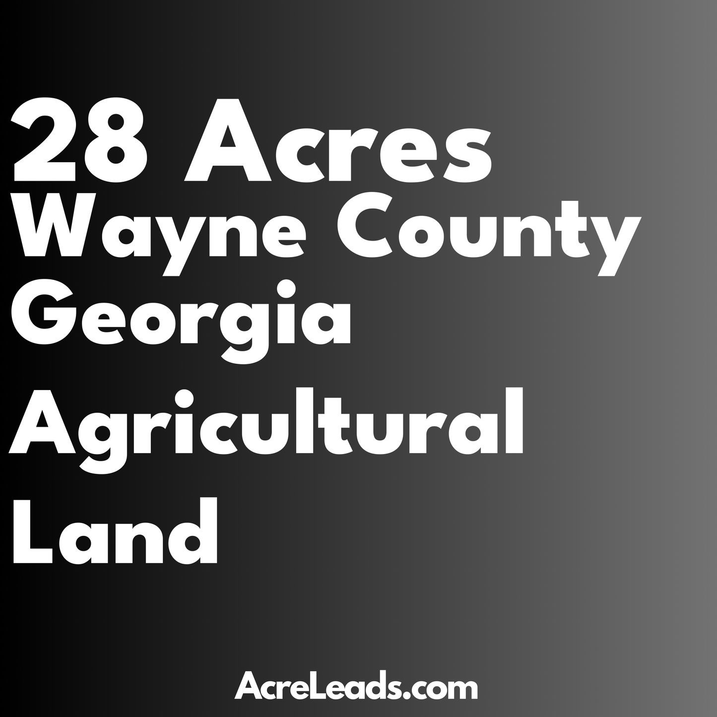 28 Acres of Agricultural Land in Wayne County, GA