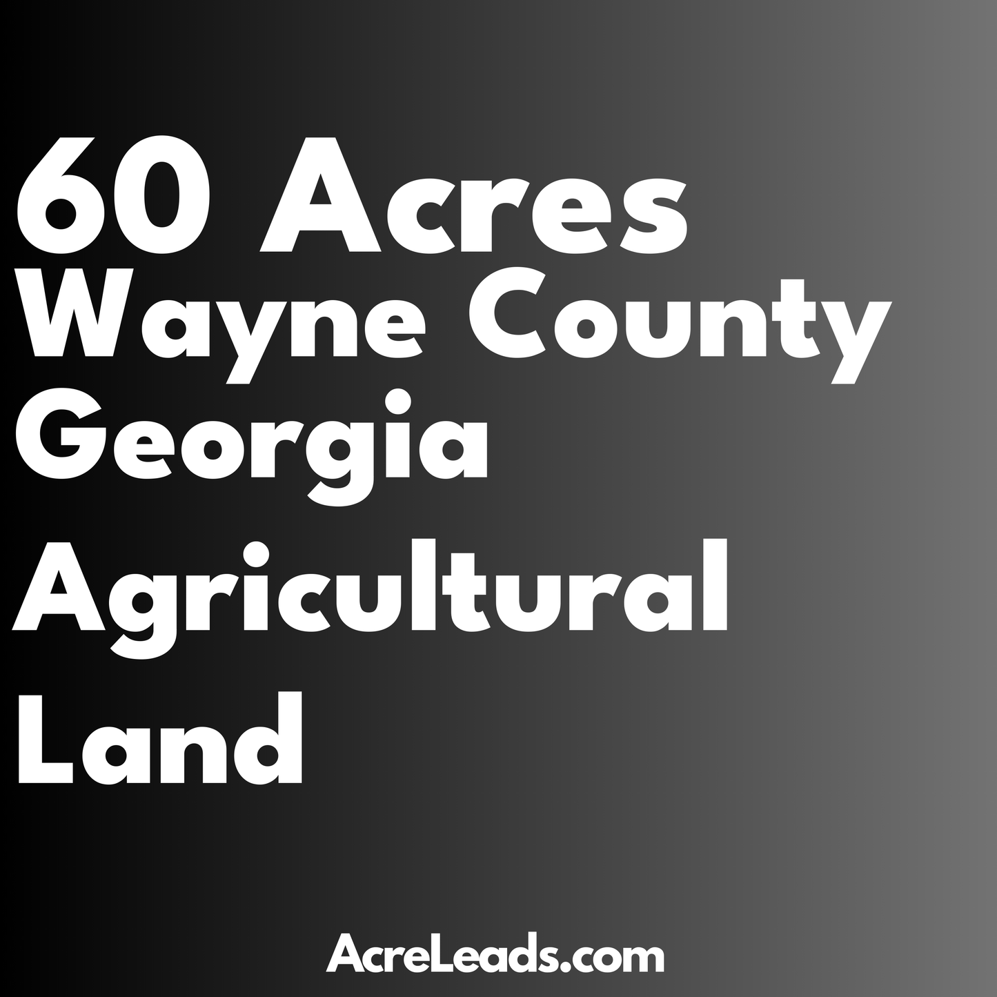 60 Acres of Agricultural Land in Wayne County, GA