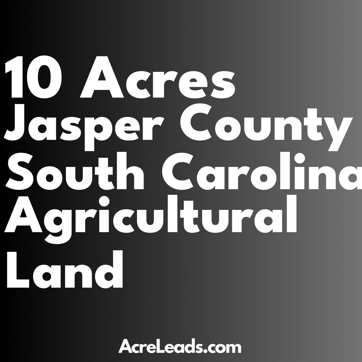 10 Acres of Agricultural Land in Jasper County, SC