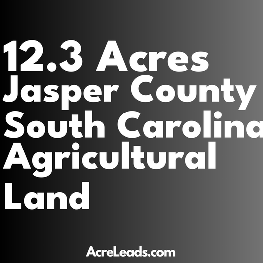 12.3 Acres of Agricultural Land in Jasper County, SC